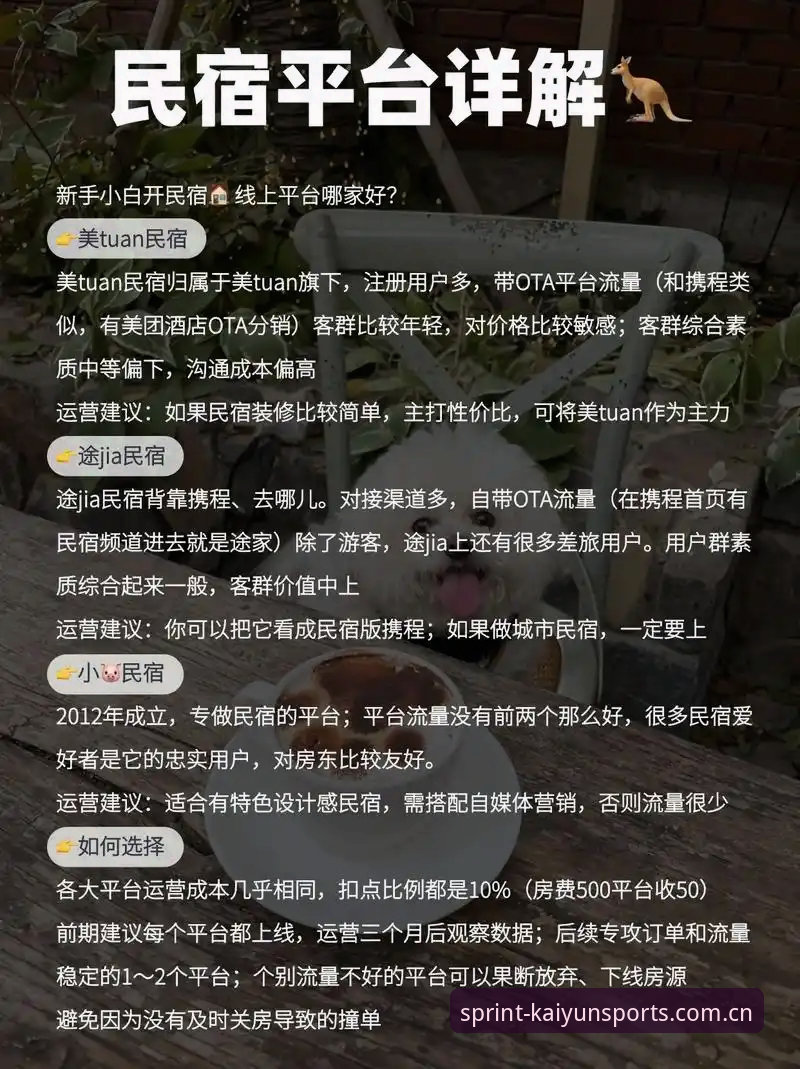 揭秘开运体育官方平台：新手如何快速上手2024新版APP？